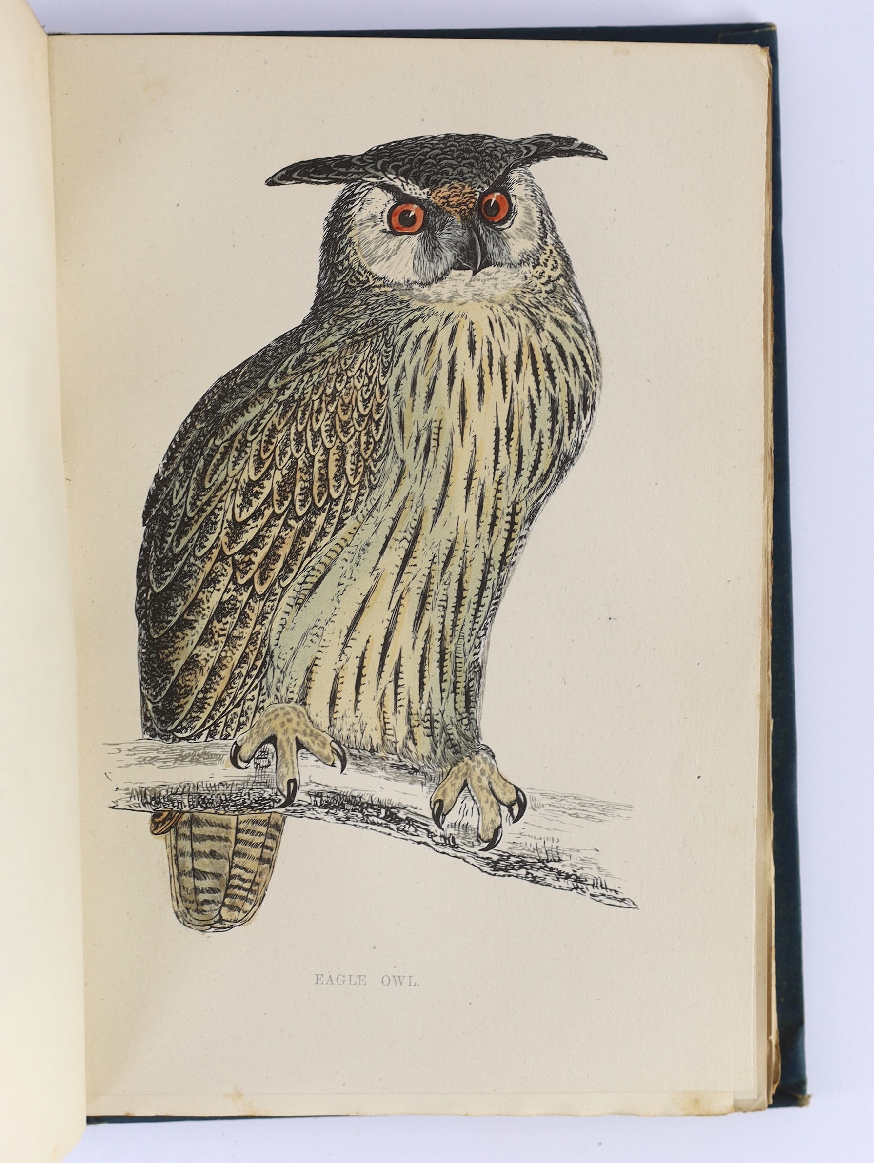 Morris, Rev. Francis Orpen - A History of British Birds (Cabinet Edition), 8 vols. 358 hand coloured plates (with guards); publisher's blind pictorial cloth, cr. 8vo. Groombridge and Sons, (ca.1870)